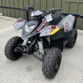 NEW Polaris PHOENIX 200